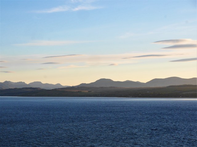 P1540066 (2)