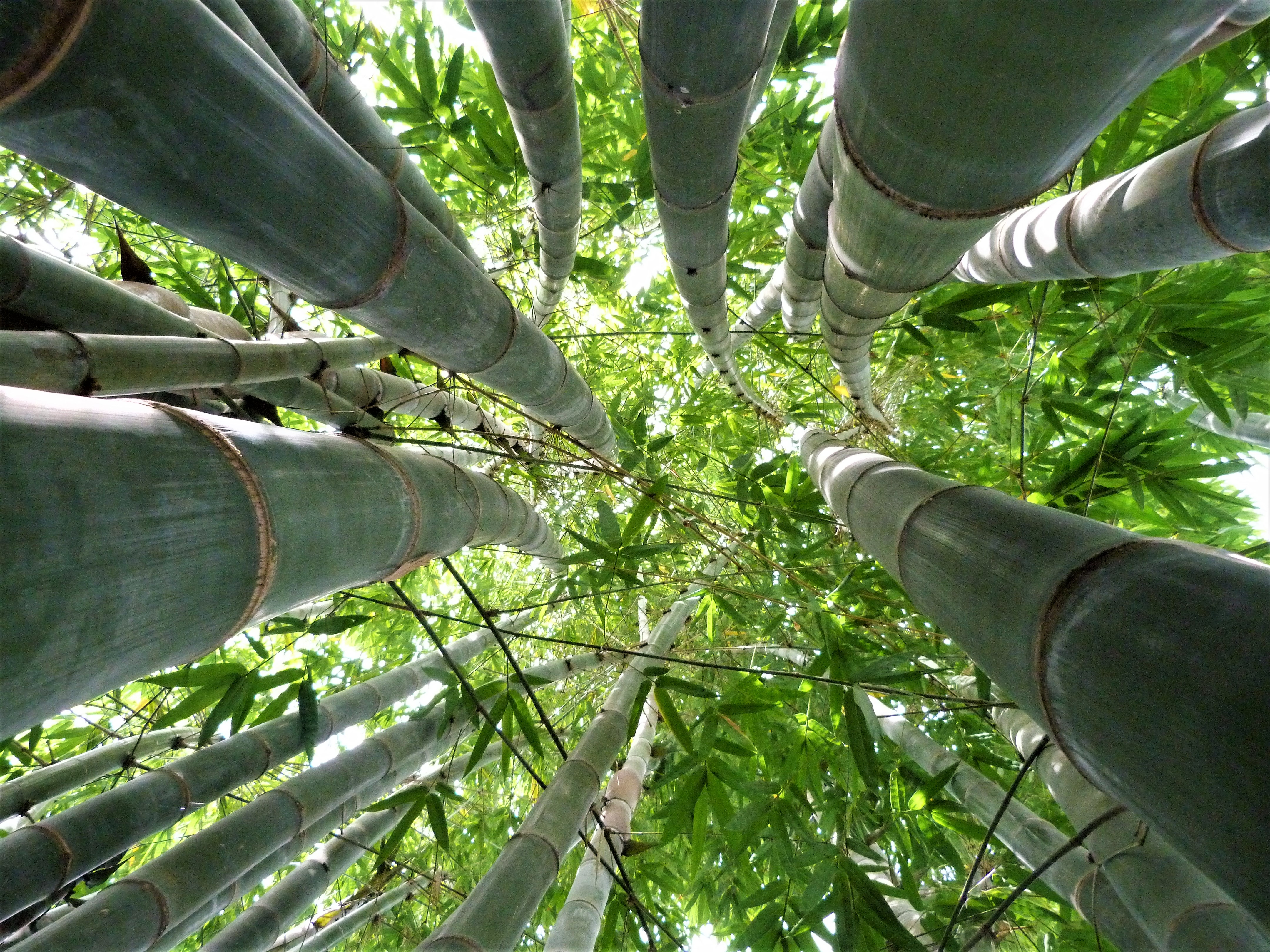 endless possibilities