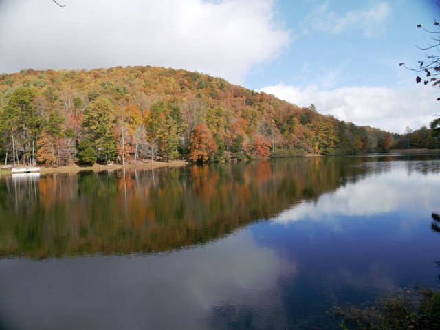 P1840152 (2)